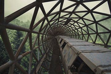 Brücke jenseits von Michelle Casteren
