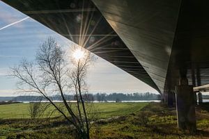 Panorama unter der Tacitusbrücke bei Herveld