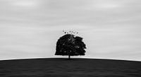 Magischer Baum