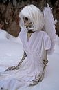 Letzter Engel Skelett eines Engels in weißem Schnee von Babetts Bildergalerie Miniaturansicht