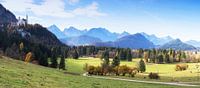 Kasteel Neuschwanstein en Alpenpanorama van Frank Herrmann thumbnail
