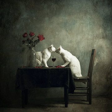 Romantic Cat Dinner