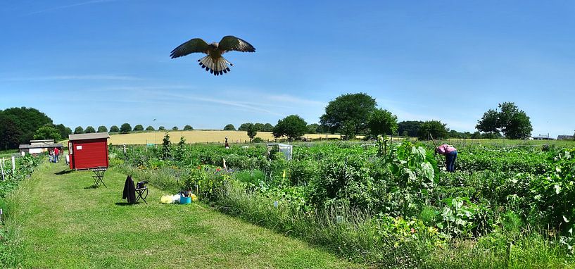 Gartenpanorama  van Edgar Schermaul