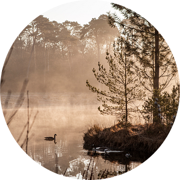 Zonsopkomst boven een meer met mist en eenden van Evelien Oerlemans