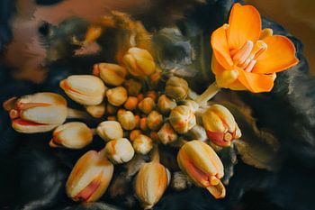 De Ziel van de Paksoi