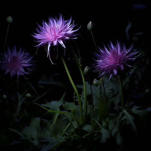 Floral Spheres: Pink and Purple Floral Festival