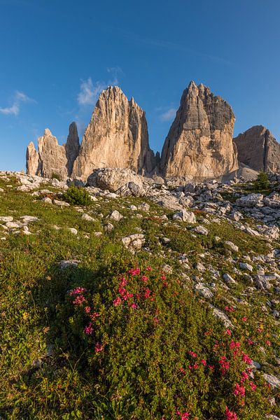 Three Peaks by Denis Feiner