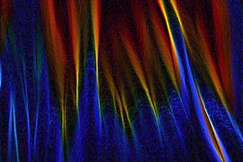 Amazing colors von Jolanta Mayerberg