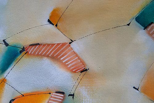 View through 10 in the dunes of Schoorl