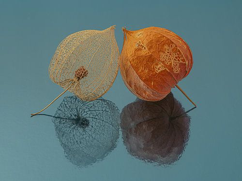 Twee lampionnetjes samen