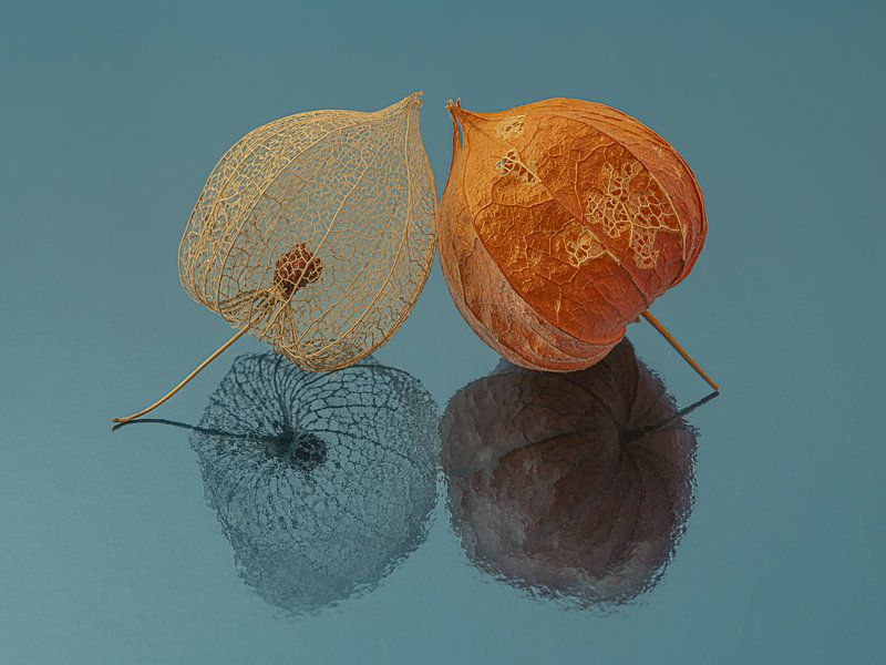 Two lanterns together by Marjolijn van den Berg