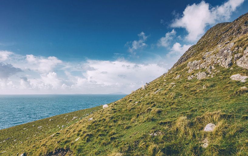 Isle of Skye mit Schafen an der Klippe von Jakob Baranowski - Photography - Video - Photoshop