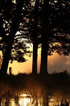 Sonnenaufgang hinter Bäumen  van Jana Behr