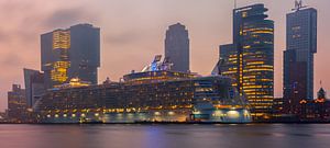 Oasis of the seas van Ilya Korzelius