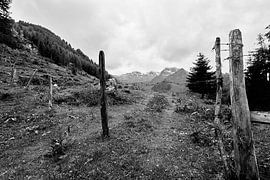 Lonely meadow by Bart Rondeel