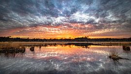 Zonsondergang in de Klotterpeel van Harold van den Hurk