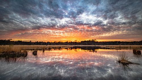 Zonsondergang in de Klotterpeel