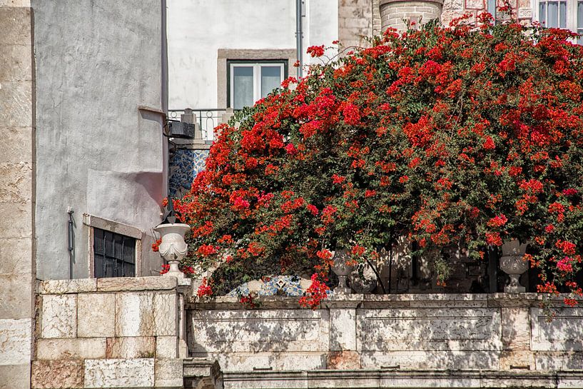 Straatbeeld Lissabon. by Tilly Meijer