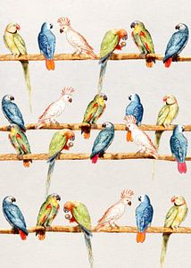 Parrots by Mad Dog Art