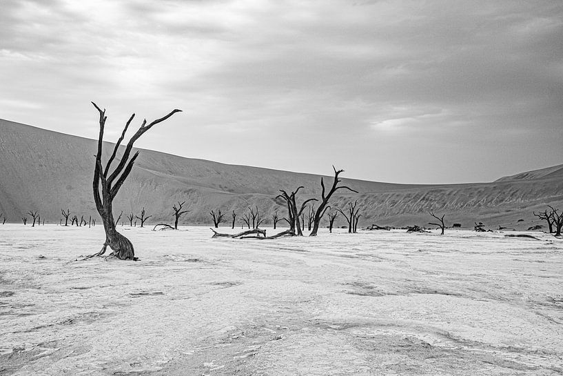 Deadvlei in the Namib Desert, Sossusvlei, Namibia by Patrick Groß