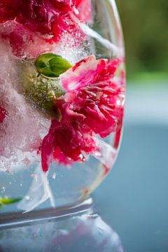 Frozen Flowers van Loes van Dijk