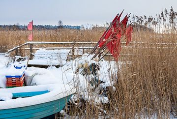 Fishing boat in the reeds in winter time van Rico Ködder