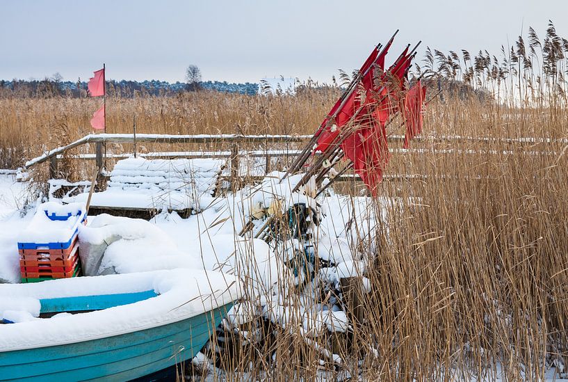 Hafen von Born am Bodden im Winter par Rico Ködder