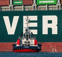 Sleepboot in Actie  Rotterdam