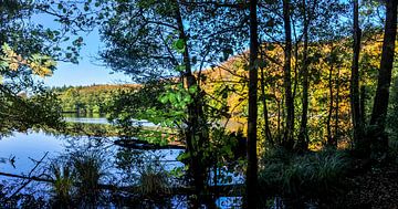 Hertasee im Nationalpark Jasmund