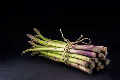 Bund frischer grüner Spargel auf dunklem Hintergrund, der in schwarz übergeht, Kopierfläche