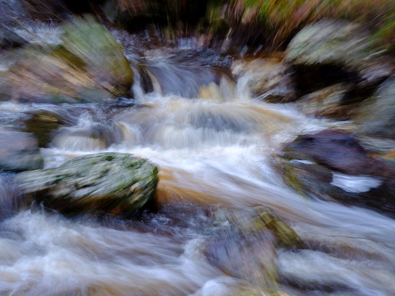 Dynamiek in de rivier La Hoëgne van Eddy Westdijk