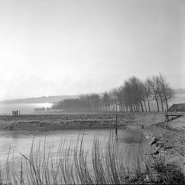 Dordtse Biesbosch von Dordrecht van Vroeger