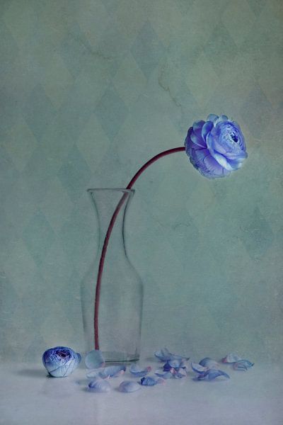 blue beauty by Claudia Moeckel
