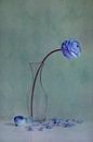 blauwe schoonheid van Claudia Moeckel thumbnail