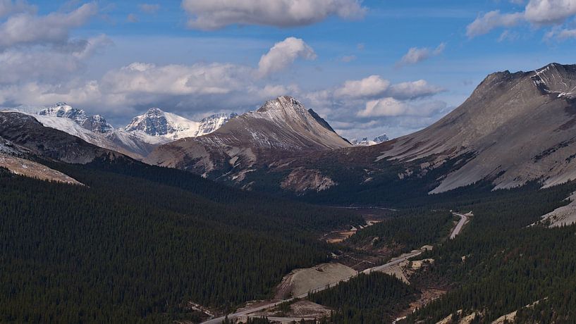 Panoramic view over the Icefields Parkway by Timon Schneider