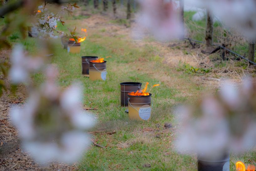 Vuurpot tussen de kersenbomen by Moetwil en van Dijk - Fotografie