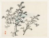 Bamboe door Kōno Bairei (1844-1895). van Studio POPPY thumbnail