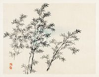 Bamboo by Kōno Bairei (1844-1895).