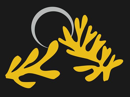 Geïnspireerd door Henri Matisse