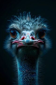 High-contrast ostrich portrait by Skyfall