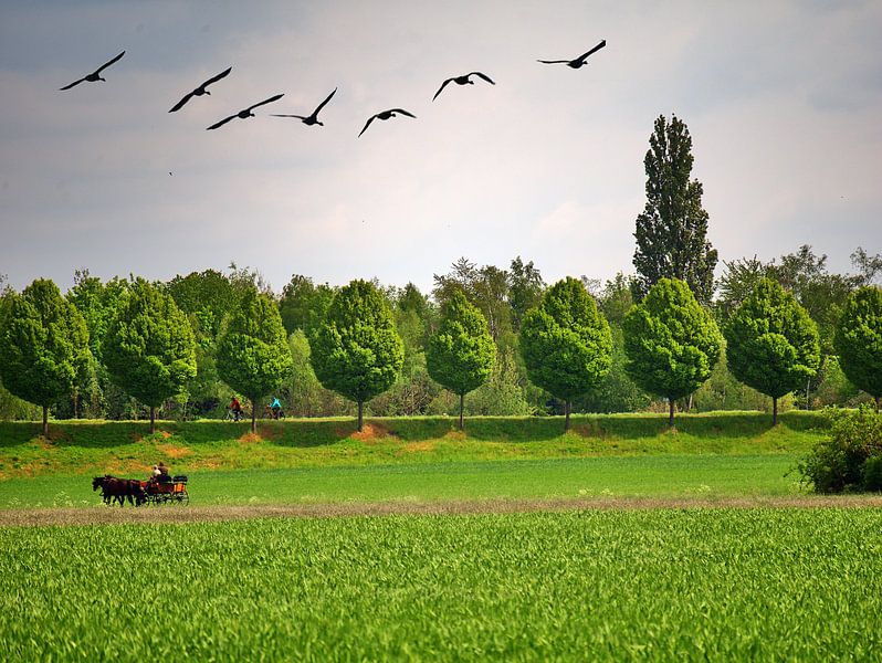 Transport en voiture par Edgar Schermaul