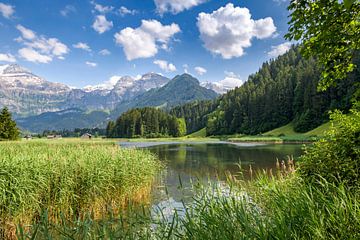 Gelassene Alpenlandschaft Lenk
