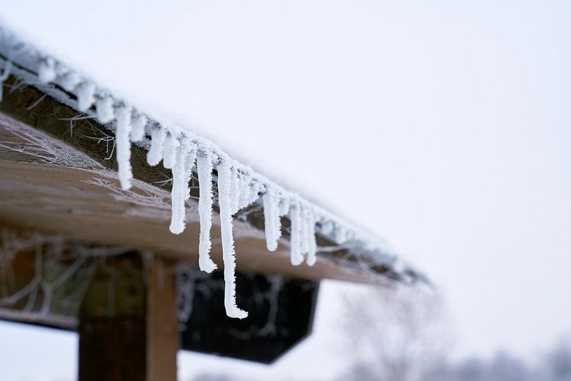 Icicles on the roof of a house in a cold winter by Heiko Kueverling