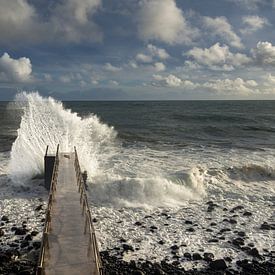 Defying wind and waves by Walter G. Allgöwer