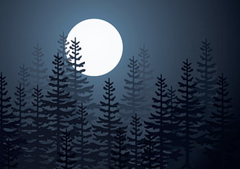 La lune brille à travers les arbres.