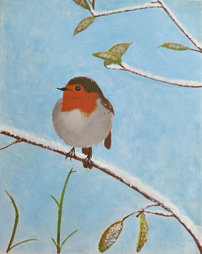 Robins in winter