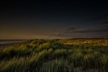 evening dunes