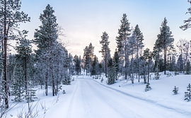 Winterweg in Fins Lapland van Nancy Pauwels Photo