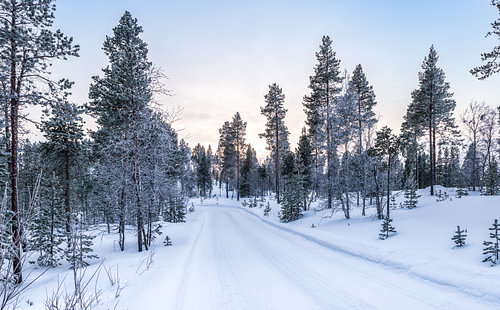 Winter road in Finnish Lapland