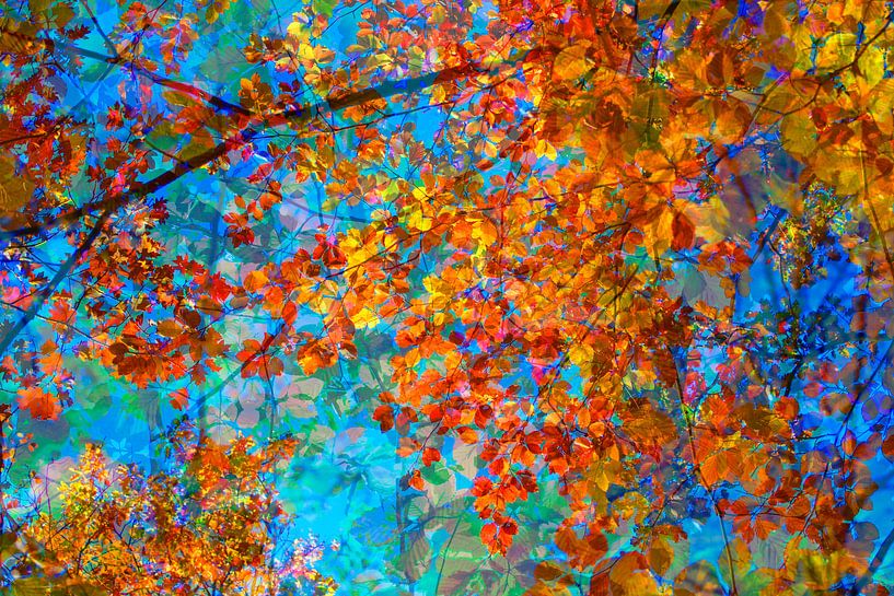 Golden October by Thomas Jäger